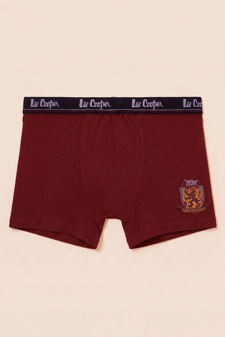 Lee Cooper Boys Harry Potter Trunks (Pack of 3) - Multicolor — image 6